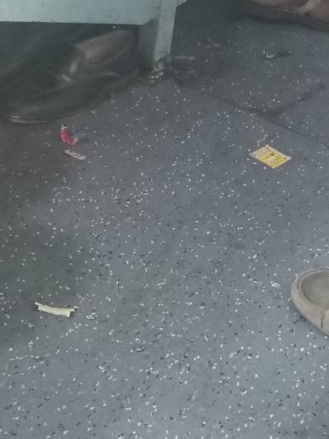 The litter