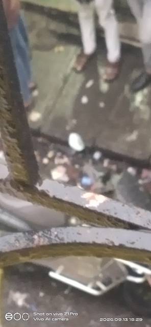 The litter